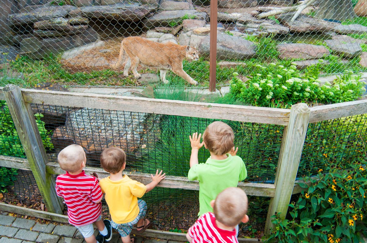 David Traylor Zoo, Emporia, Kansas